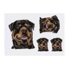 4 x 'Rottweiler' Temporary Tattoos - Water Resistant, Skin-Safe, Non-Toxic