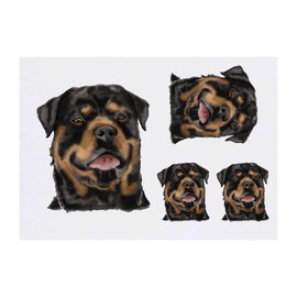 4 x 'Rottweiler' Temporary Tattoos - Water Resistant, Skin-Safe, Non-Toxic Transfers, Mixed Sizes (TO00049319)