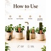 vensovo 4 Pack Terracotta Plant Watering Spikes, Cute Frog Automatic