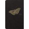 Clairefontaine Flying Spirit 102506C Notebooks Lined 11 x 17 cm