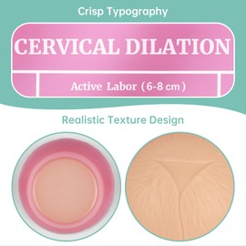 MedEduQuest Cervical Dilation Simulator with 1-8cm, Gynecological Examination Model, Chart on Display Board for Midwife and Doula Training, Medical Education, and Birth Learning