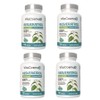 VitaCosmoX VitaCosmo Trans Resveratrol 600mg, 4, 120 tablets / VitaCosmoX 비타코스모 트랜스 레스베라트롤 600mg, 4개, 120정