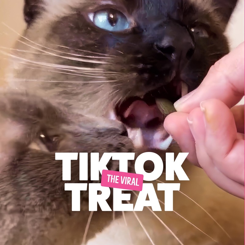 Bonkers Cat Bites, Crunchy & Soft Seafood & Eat It!