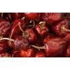home grown Cherry Bomb Hot Chilli Pepper 50+ seeds 100%