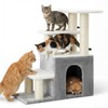 Heybly Cat Scratching Post, Pet Steps for Indoor Cats and