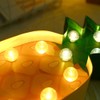 Innovative Fruit Animal Shape LED Light Decor Night Light Lamp