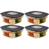 Rubbermaid Premier Food Storage Container, 1.25 Cup, Grey (Pack of
