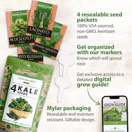 HOME GROWN 700+ Kale Seeds for Planting Outdoors or Hydroponics - Heirloom Leafy Greens Seeds 4 Variety Pack: Non-GMO Lacinato (Tuscan/Dino Kale), Blue Scotch, Dwarf Siberian, Red Russian Kale