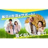 Royal Beauty series business for Barley Grass Grain MG X270 Grain