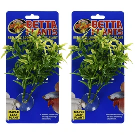 Zoo Med Laboratories Betta Plant Maple Leaf (2 Plants)