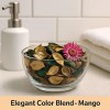 Fresh 2 Pack Mango Potpourri Bowl Vase Filler Home Décor