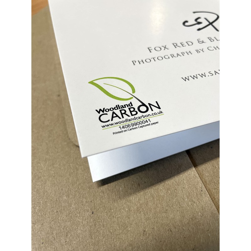 Fox Red and Black Labrador Dog Birthday Card