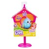 Little Live Pets Bird and Bird House - Rainbow Tweets,