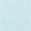 Caspari Pebble Robin's Egg Gift Wrapping Paper - Two 30"