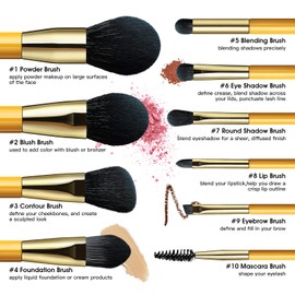 Eigshow Makeup Brushes Set, 10 Pieces Makeup Brushes, Premium Nano Fiber Bristles for Foundation Blending Face, Powder, Lip, Blush, Contour, Eyeshadow, Colorful and Vegan (Yellow)