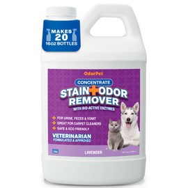 OdorPet Concentrate Stain and Odor Remover - 64 oz. (Makes 2.55 Gallons of Working Solution) - Lavender Scented Pet Odor Eliminator for Carpet, Floor and Furniture by Alpha Tech Pet