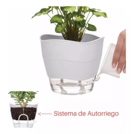 Betterware Maceta Pequeña Moderna Riega Facil Blanca Interior/exterior