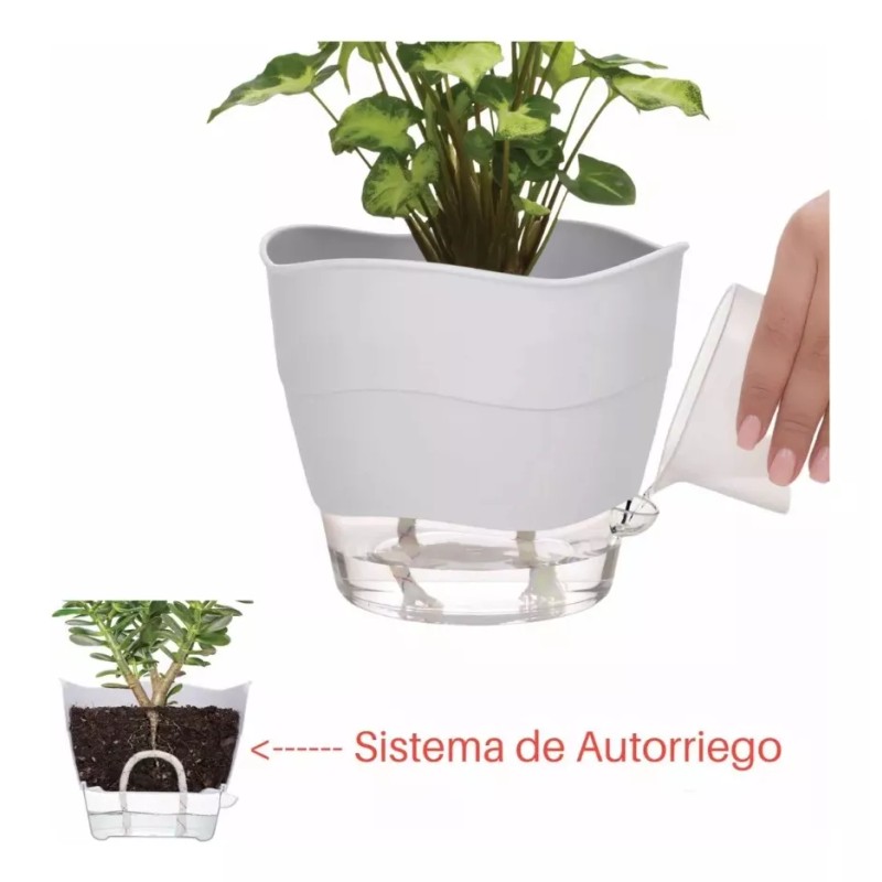 Betterware Maceta Pequeña Moderna Riega Facil Blanca Interior/exterior