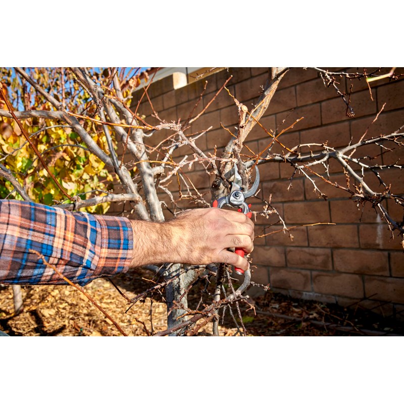 Corona BP 7100D Forged Steel DualCUT Bypass Hand Pruner -