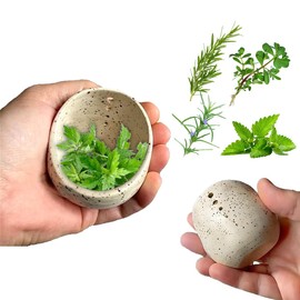 WRQIOO Pottery Herb Stripper, Herb Stripper Bowl, Pottery Herb Stripper Cups,4 Different Round Hole Sizes Herb Stripper Kitchen Gadget,Kitchen Leaf Stripping Tools for Cilantro,Rosemary etc.(White)