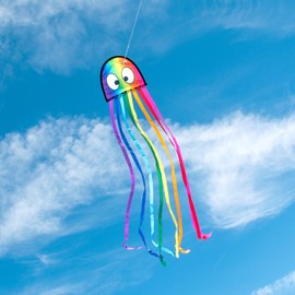 Wolkenstürmer® Mini Octopus (Rainbow) Children's Kite - Octopus Octopus Single Line Kite with Handle and 40 m Cord - 1-Line Kite & Flight Toy