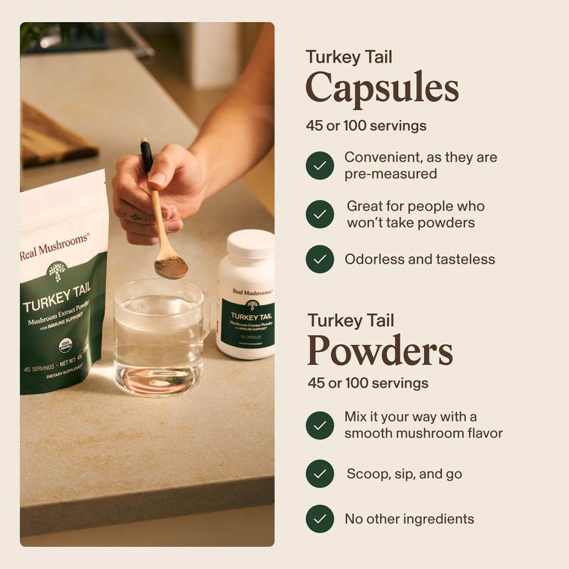 Real Mushrooms Turkey Tail Capsules – Organic Mushroom Extract for