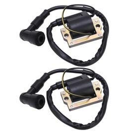 1 Pair Ignition Coil Low Emissions and Fuel Consumption Heat Resistant Fit for LC50 RD60 YZ60GT80 DT100 DT175 DT250