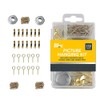 Sixstore 172 Piece Picture Hanging Set, Quality Picture Hooks, Eyelet