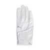 PUMA Golf Gloves Golf Super Leather Touch Gloves (Right Hand)