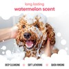Watermelon Dog Shampoo by Buddycare | Deep Cleansing Shampoo for
