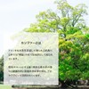 100% Natural Camphor Oil 20ml White Comfort Aroma Oil Essential