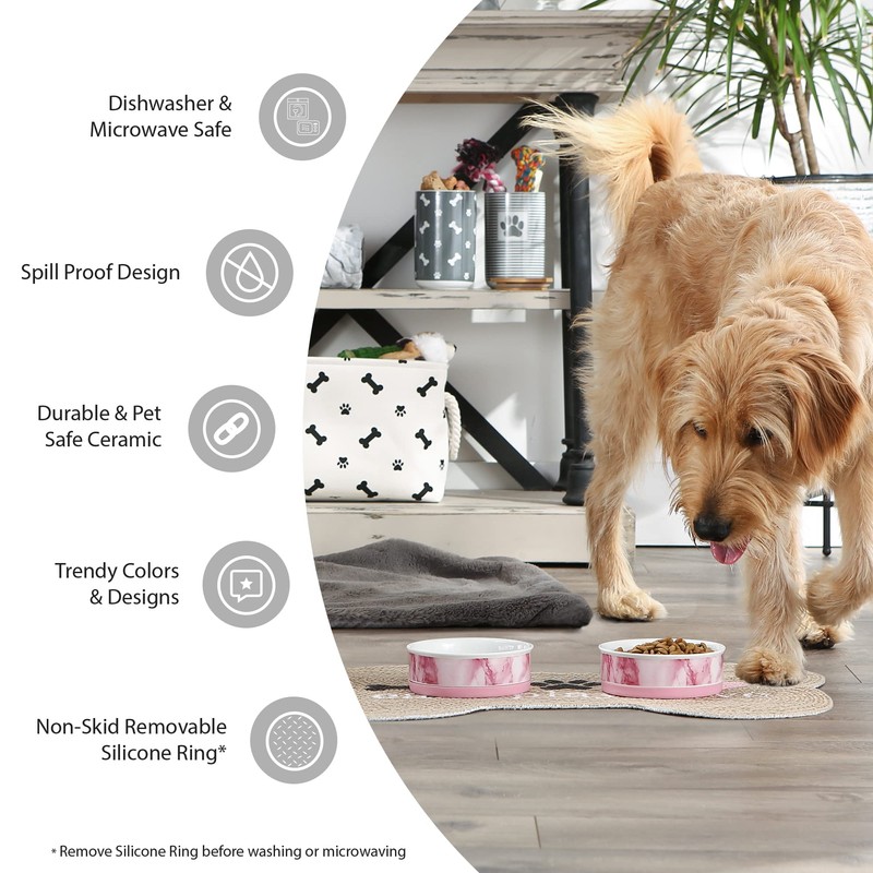 Bone Dry Trellis Paw Print Pet Bowl Set Microwave &