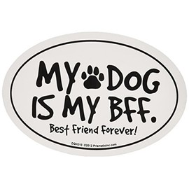 Prismatix Decal Cat and Dog Magnets, My Dog is My BFF