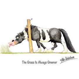 "The Grass Is Always Greener" Funny Coloured Horse Greeting Card by Alex Underdown
