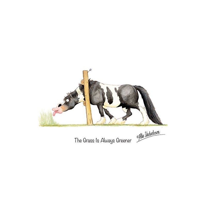 "The Grass Is Always Greener" Funny Coloured Horse Greeting Card