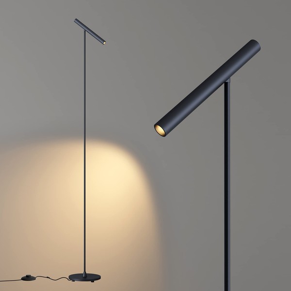 ilucezzo Floor Lamps for Living Room, 66" Modern Floor Lamp