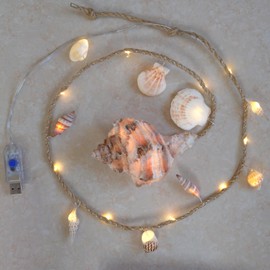 Conch Night Light | Beach Theme Decor USB Lights, 3ft(90cm), 8 Flashing Modes, Beach Theme decor, 5V, 0.4W, Real Conch Handmade Lights