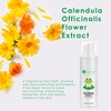 Dr Botanicals Natural Relaxing Chamomile Baby Shampoo with Aloe Vera