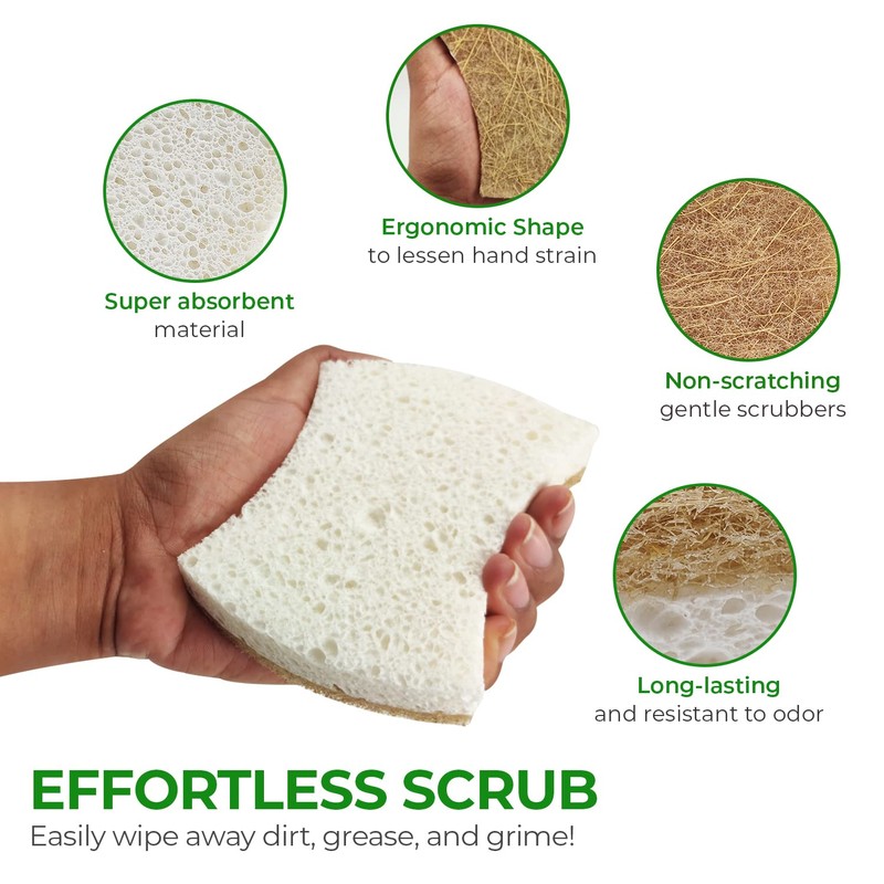 AIRNEX Natural Kitchen Sponges (12 Pack) - Biodegradable Cellulose &