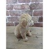 Dog Ornament (Poodle) 14065