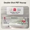 Keychron OSA Profile Double-Shot PBT Side-Printed Keycap Set, 141 Keys,