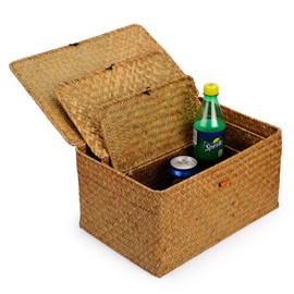 DOKOT Rectangular Handwoven Seagrass Storage Basket with Lid for Shelves and Home Organizer Bin, (M (12"x7"x6"H), Yellow)
