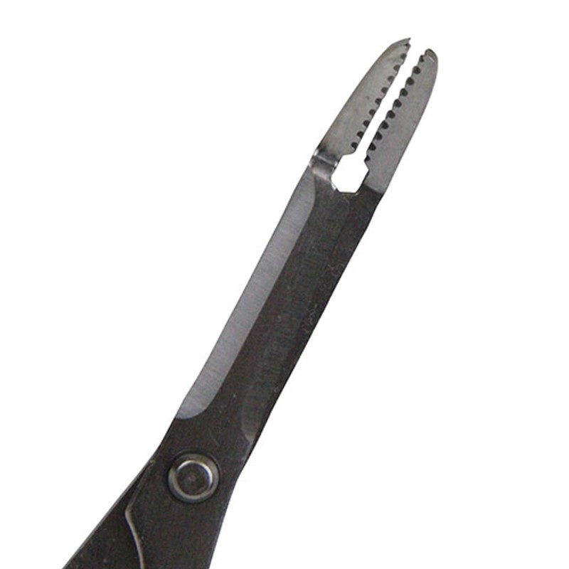 Cactus Musitori 1287