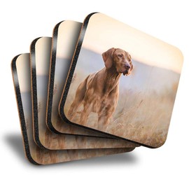 Destination Vinyl ltd Great Coasters (Set of 4) Square - Hungarian Pointer Vizsla Dog Drink Glossy Coasters/Tabletop Protection for Any Table Type #12566
