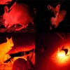 LIAISIMI 2 Pack Tactical Bright Powerful Red LED Torch Zoomable