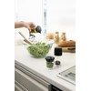 Richell 14761 Powder Condiment Container, S, Brio, Black