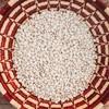 Henderson Bush Lima Bean - 50 Seeds - Heirloom White