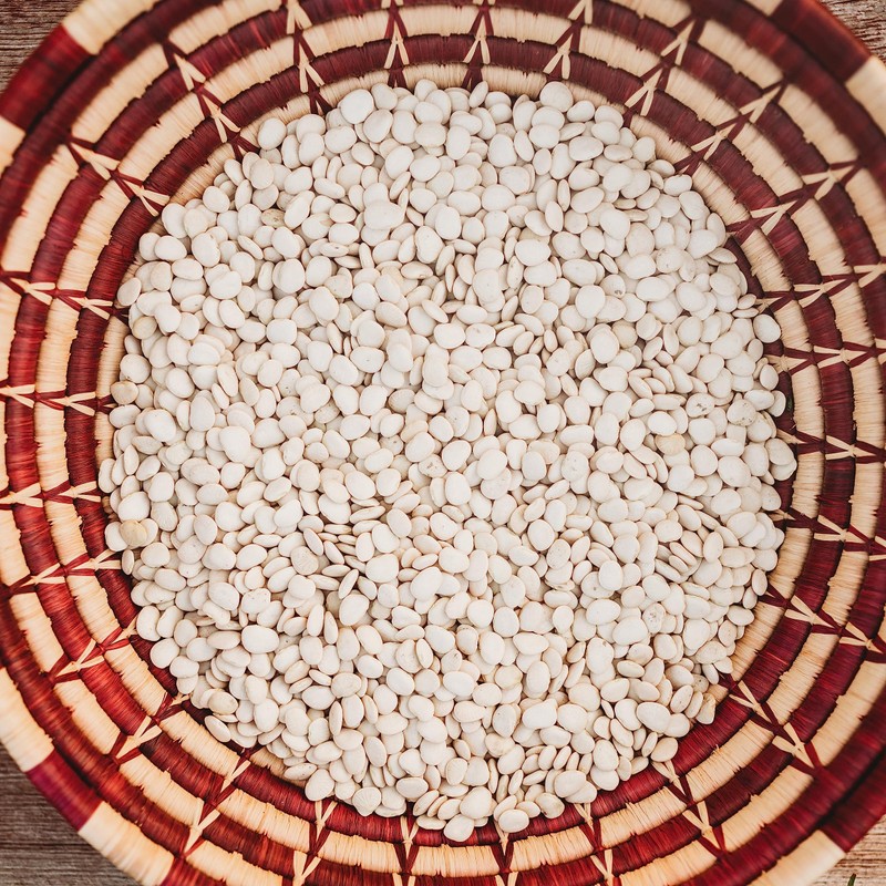 Henderson Bush Lima Bean - 50 Seeds - Heirloom White