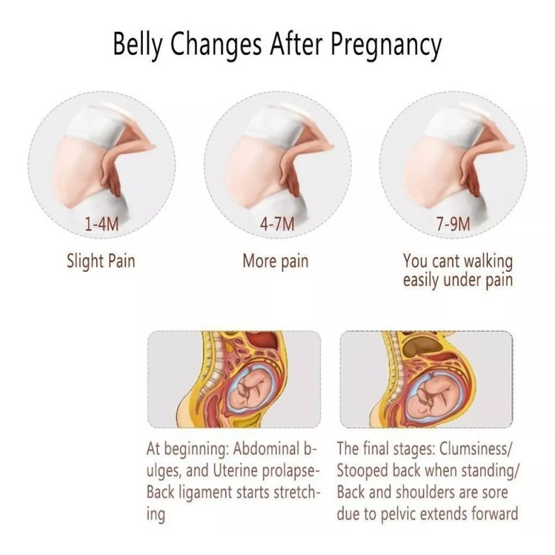 Buena Madre.mx Faja Embarazada Maternidad Soporte Embarazo