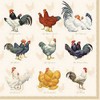 20 Napkins Chicken Species Table Decoration Decoupage Decoupage 33 x